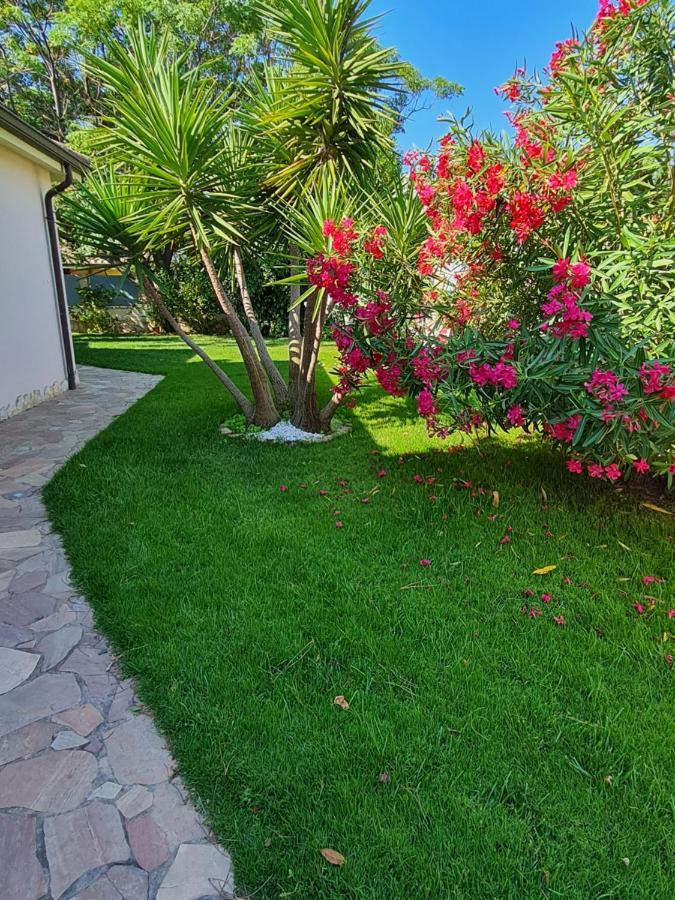 Bed and breakfast Gentarrubia 2*
